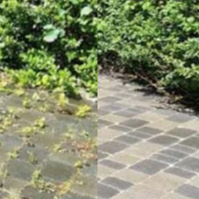 Paver Patio Cleaning